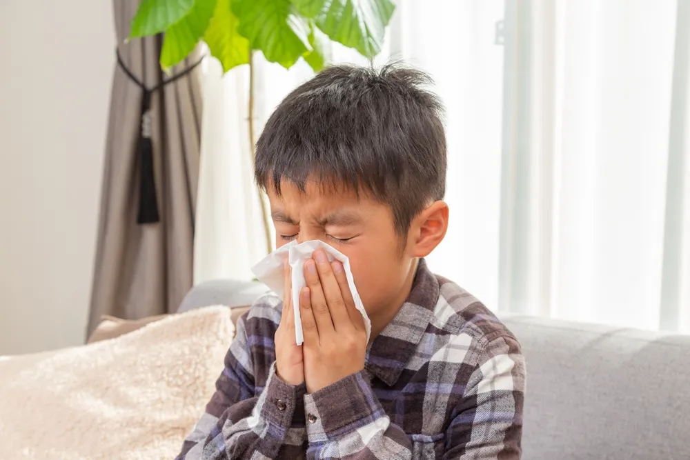 若年性血管線維腫とは？思春期の男子に多く、鼻にできる腫瘍、頻回の鼻出血に要注意！
