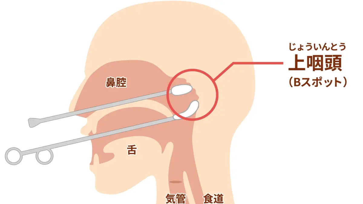 Bスポット療法について。効果ある?それとも痛すぎるだけ?