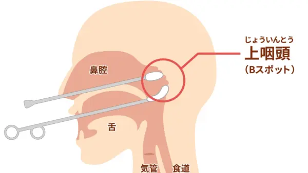 Bスポット療法について。効果ある？それとも痛すぎるだけ？